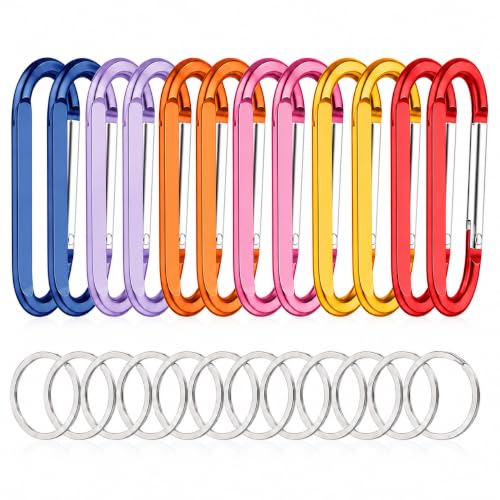 Image of Carabiner Caribeaner Clip,3 inch Large Aluminum D Ring Shape Carabeaner with Keyring Keychain Hook