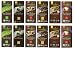 Endangered Variety Pack 6 Flavors (Pack of 12) (Dark Choc with Lemon , Dark Choc w Sea Salt & Almonds, Dark Choc w Cherry, Rain Forest Dark Mint, Wolf Dark Choc w Cranberry Almond, 48% Milk Choc)