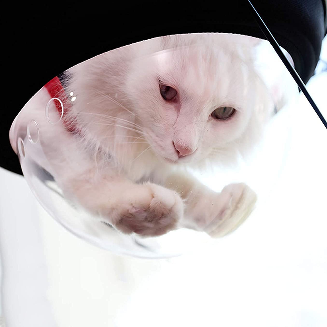 Hamaca de Gato para VentanaCama para gatos, hamaca para gatos, cama colgante para mascotas, perchas para ventanas de gatos, asiento para gatos, hamaca para gatos con ventosa de 37 x 37 cm, duradera pa