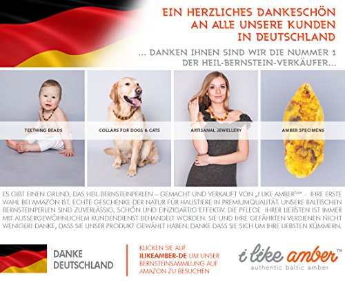 Bernsteinkette für Hunde & Katzen aus echt baltischem Bernstein – Wissen, was Ihr Haustier trägt - Handgefertigtes Haustierhalsband