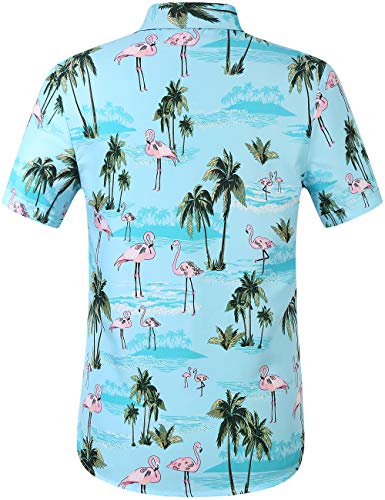SSLR Men's Printed Casual Button Down Short Sleeve Hawaiian Shirts (Large, Blue (168-284))