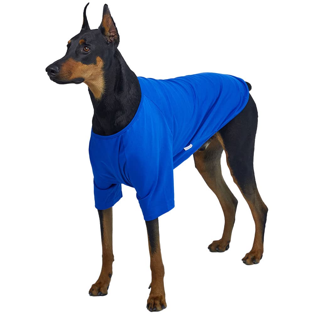 Camisa para perros pequeños, camisetas lisas, suave, transpirable, de algodón para perros, ropa para mascotas (5XL, azul)