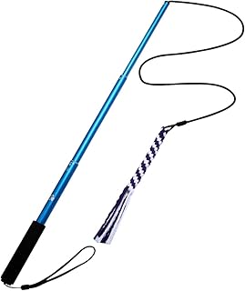 POPETPOP Extendable Dog Pole Dog Training Toys Cat Wand Chasing Tail Teaser Toys for Large Breed Dogs Interactive Dog Toys Pole for Interactive Dog Rope Toys Pet Toys Training Stick Outdoor