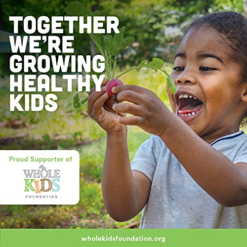 Clif Kid - Organic Granola Bars – Variety Pack - Gluten Free - Organic - Non-GMO - Lunch Box Snacks (1.27 Ounce Energy Bars, 16 Count) Assortment May Vary