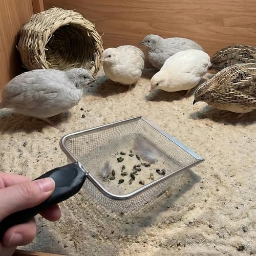 Minfuerang 2Pcs Reptilien Sandschaufel, 2X2mm Feinmasch, Sandsieb aus Rostfreiem Edelstahl, Terrarien Metallschaufel für Hamster Sand, Vogelsand, Reptilienkot, Sandstreu
