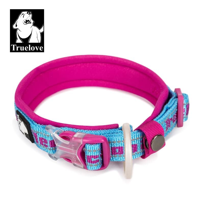 WINHYEPET True Love Reflective Dog Collar - Image 2
