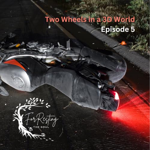#5: Two Wheels in a 3D World: Chapter 5 of Robert Peterson's book, "This is Not Who I Am: Journey from 3D to 5D"