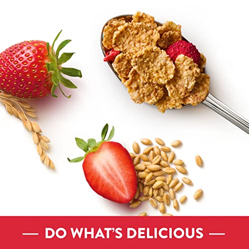 Kellogg’s Special K Breakfast Cereal, 11 Vitamins And Minerals, Made With Real Strawberries, Family Size, Red Berries, 16.9Oz Box (1 Box) #TOP4
