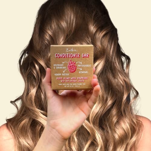 Earth Is...conditioner Bar - All Hair Types – All-Natural Hydrating Hair Conditioner – Eco-Friendly Hair Moisturizer – Plastic Free - Ph-Balanced – Vegan – Concentrated – Biodegradable – Zero Waste, 3.2Oz (Berry Blend With Raspberry) #TOP3