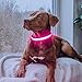 Flashseen LED Dog Collar, USB Rechargeable Light Up Dog Collar Lights, Adjustable Comfortable Soft Mesh Safety Pet Collar for Small, Medium, Large Dogs (Large, Candy Pink)