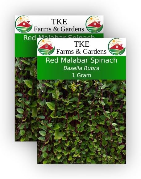 TKE Farms, Semillas de malabar rojo para plantar, 0.04 oz, aproximadamente 75 semillas, Basella Rubra, sin OMG, reliquia, cantidad 2