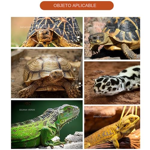 Tränke für Schildkröten, Wasser- und Futterschale für Reptilien, Schildkröten, dreieckiges Futterzubehör für Haustiere: Eidechsen, Schlangen, Krabben-7