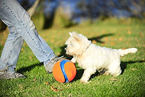 Chuckit! Kick Fetch Ball Dog Toy, Small (6 Inch), All Breed Sizes #TOP1