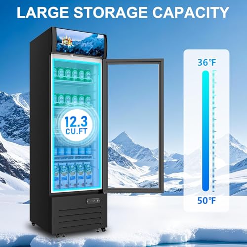 Commercial Beverage Refrigerator 1 Glass Door, 12.3 Cu.ft Commercial Upright Display Merchandiser Refrigerator, Beverage Cooler with LED Light, Lock Wheels, Adjustable Shelf for Bar, Shop - Image 4