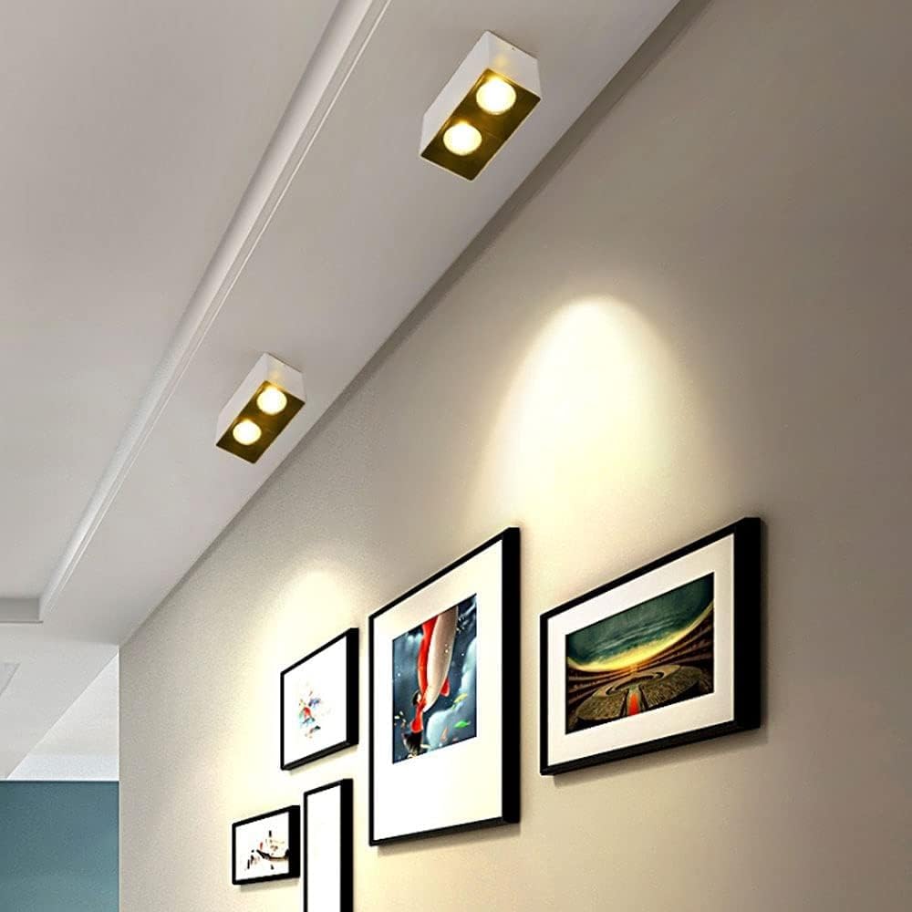 Faretto a soffitto a LED Faretto a montaggio superficiale, Plafoniera in alluminio, Faretti for interni Lampade d'accento(White)
