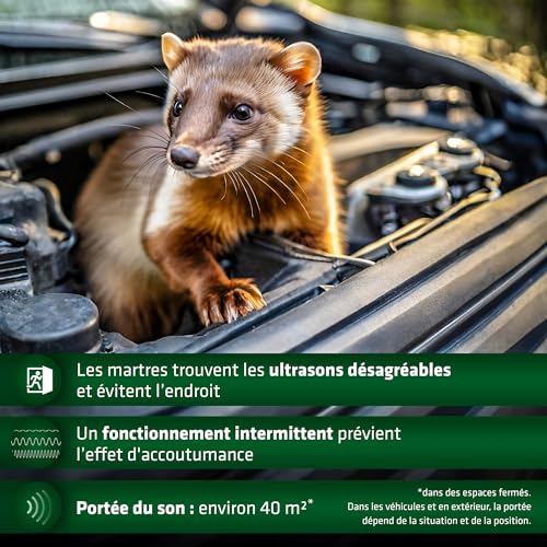 Anti-martre et rongeurs voiture à ultrason pour stopper les dégâts