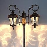 Culot : E27, alimentation CA : 110 V, capacité : max 40 W, culot à vis E27.