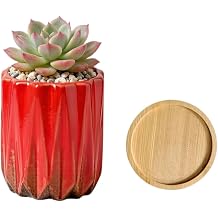 Modern Textured Ceramic Succulent Planter Pot No Plant Included Perfect for Small Plants, Cacti & Desk Decor Lightweight & Durable Red