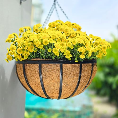 LaLaGreen 20-Inch Outdoor Metal Hanging Plant Baskets