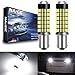 NATGIC BA9 BA9S 53 57 1895 64111 Lampadine a LED Xenon 1800LM 3014SMD 78-Ex Chipset con proiettore per Luce indicatore, Luce retromarcia Interna, 6500K, 12-24V (2 Pezzi)
