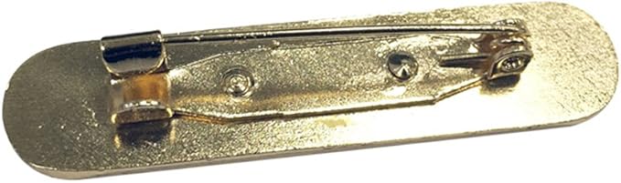 Capricornone Pupil Council Gel Domed School Shield Badge (Blue - View #5