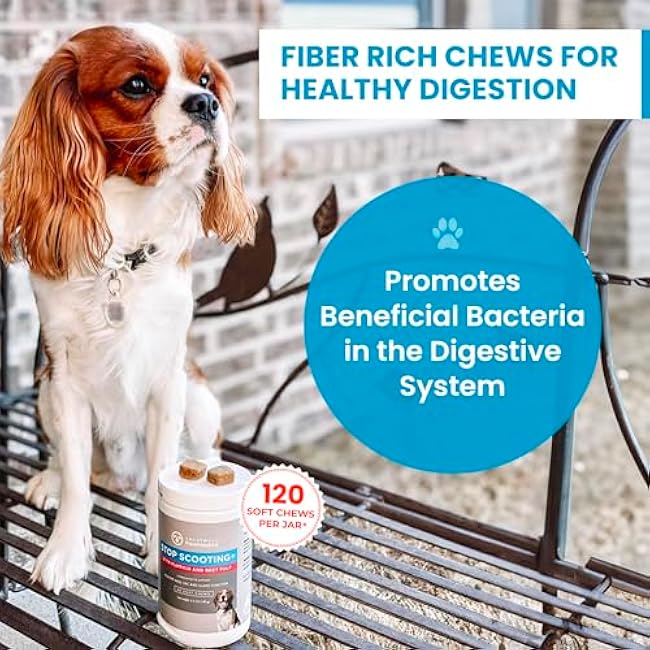 PawMedica Dog Anal Gland Chews to Stop Scoot for Dogs - Anal Gland Dog Constipation Relief - Recommended Dog AnalGland Support Chews Fiber - Fiber Supplement for Dogs (120 Dog Pumpkin Chews)-P6aUQGm6