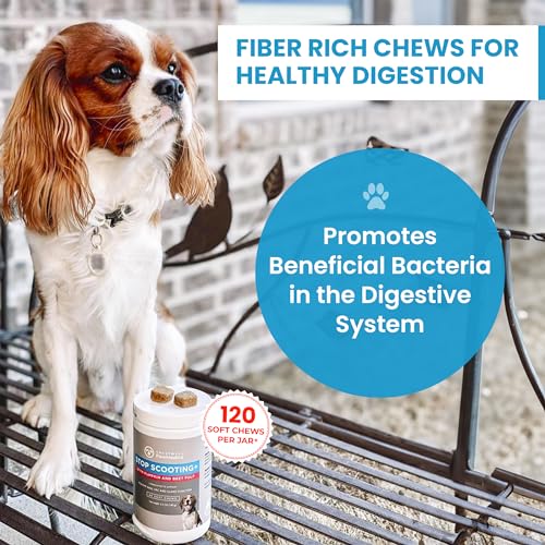 PawMedica-Dog-Anal-Gland-Chews-to-Stop-Scoot-for-Dogs-Anal-Gland-Dog-Constipation-Relief-Recommended-Dog-AnalGland-Support-Chews-Fiber-Fiber-Supplement-for-Dogs-120-Dog-Pumpkin-Chews