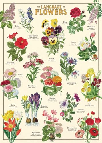 Cavallini & Co. Decorative Wrap Poster, Language of Flowers, 20 x 28 inch