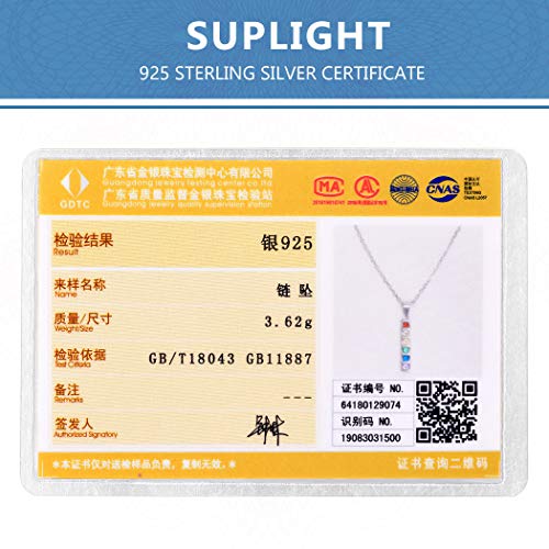 925 Sterling Silver Lgbt Pride Necklace Love Wins Equality Jewlery Platinum Plated Cubic Zirconia Crytal Bisexual Bi Lesbian Gay Flag Pendant Necklaces For Girls Women #TOP5