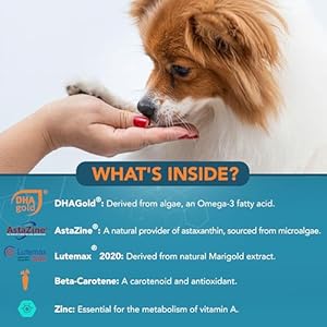 NOVEHA Eye Supplement for Dogs Vision Support with Lutein Vitamin C Astaxanthin Antioxidants Dog Vitamins for Eyes Fish Oil for Omega 3 EPA Made in USA 90 Soft Chews 3 Pack