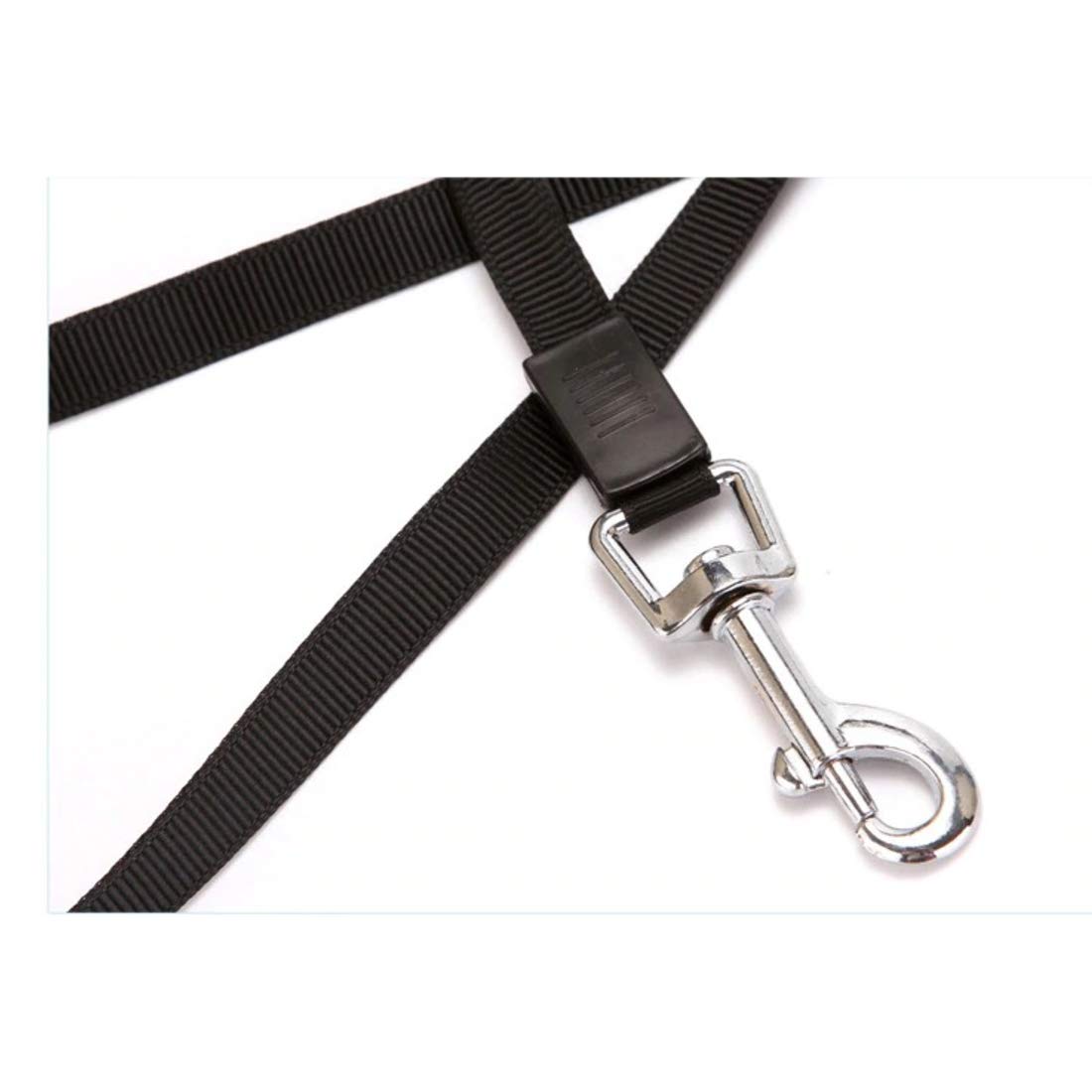 YOUSTYLO - YOU ARE PRIORITY 5m Dog Leash for Small Medium Dogs Retractable Dog Leash Automatic Flexible Small Breed Dog Puppy Cat Traction Rope Belt Upto 15 kg Pet (Red) (DL6007D-RD) 3