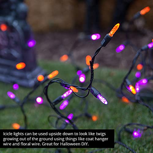 Wintergreen Lighting Halloween Icicle Lights, 70 Purple And Orange Mini Led Lights On Black Wire, 7 Ft Fun House Halloween Decorations Party Lights (70 Icicle Lights) #TOP6