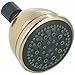 Peerless 76563PB 5-Spray/Massage Shower Head, Polished Brass