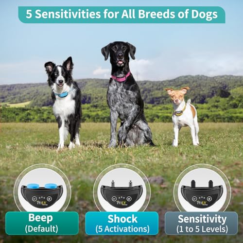 PetJoy Dog Bark Collar 3-Pack with charging cable