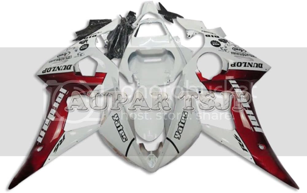 真作/田能村直入/観音画賛/妙法蓮華経/大幅/布袋屋掛軸HI-997