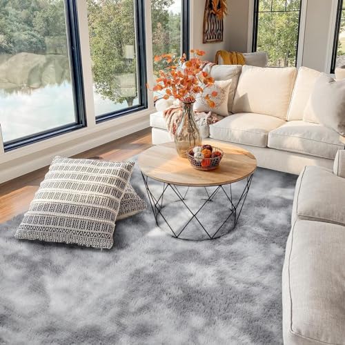FVVRAX Area Rugs Living Room Rug, Soft Fluffy Shaggy Bedroom Rug Floor Carpet, Large Carpets for Kids Girls Dorm Nursery Bedside Rug, 122x183cm, Tie Dyed Light Grey