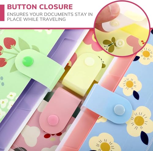 Image of Corslet Folder for Documents A4 Size 5 Pockets Files for Students for School and Office (Pack of 4)