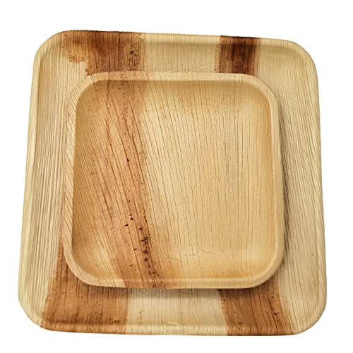 Dtocs Palm Leaf Plate Combo (50) - Square - 10 Inch (25) Dinner, 7 Inch (25) Dessert | Bamboo Look Eco-Friendly, Compostable, Biodegradable Disposable Plates For Wedding, Camping, Parties. #TOP6