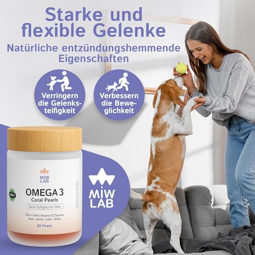 Omega 3 für Hunde & Katzen 60 Fischöl 1000mg EPA + DHA + Taurin + Vitamin E Kapseln für Glänzendes Fell Starke Gelenke & EIN Gesundes Immunsystem Mächtig und Sichere Kleiner und Großer Hund und Katze