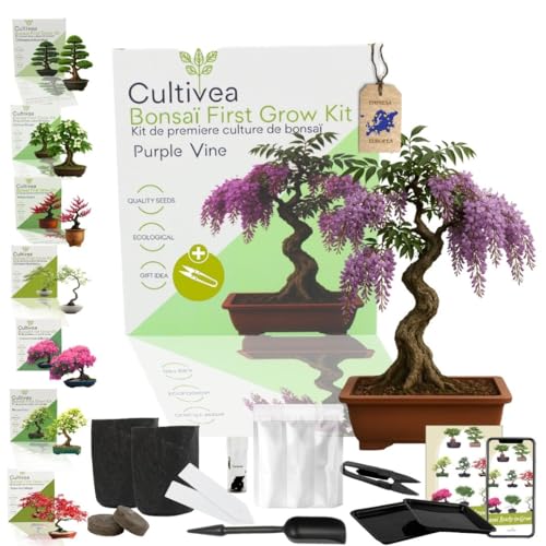 CULTIVEA Kit First Bonsai – Autocultivo de bonsai com sementes e ferramentas, fácil e completo, ideia de presente (Purple Wine)