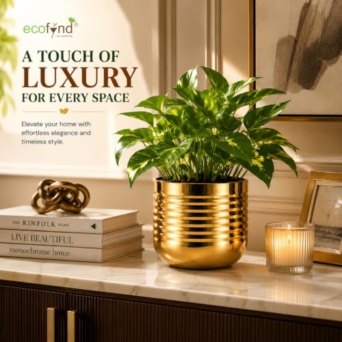 Image of ecofynd 1 Pack Metal Plant Pots (5 inch), Indoor Small Planter Flower Pots, Home Garden Decor Planter for Living Room Bedroom Interior (Gold Finish, POT052)