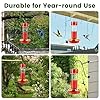 Glass Hummingbird Feeders for Outdoors Hanging Ant and Bee Proof, 2 Pack 15 Ounces Red Hummingbird Feeder with 5 Feeding Ports and Perches, Built-in Ant Moat, Outside Garden Décor (Glass, 2) #5