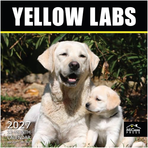 Image of MICASA PRESS Yellow Labs 2027 Wall Calendar 12 Month | 12 inch x 24 inch Open