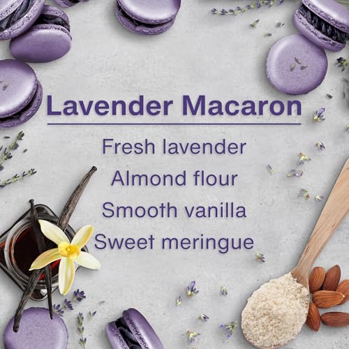 Image of LITTLE TREES Car Air Freshener | Hanging Tree Provides Long Lasting Scent for Auto and Home | 24 Air Fresheners |Lavender Macaron