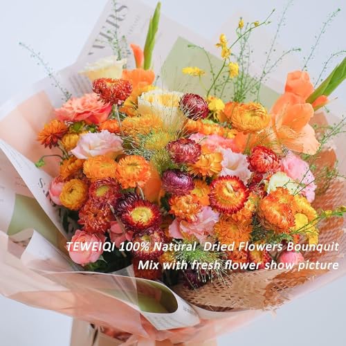 Ramo de flores secas naturales TEWEIQI 20 piezas miniatura 3