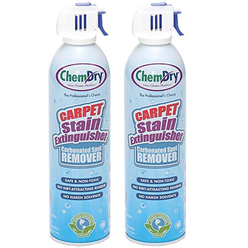 Top 10 Best Chem Dry Carpet Cleaner Reviews & Buying Guide Katynel