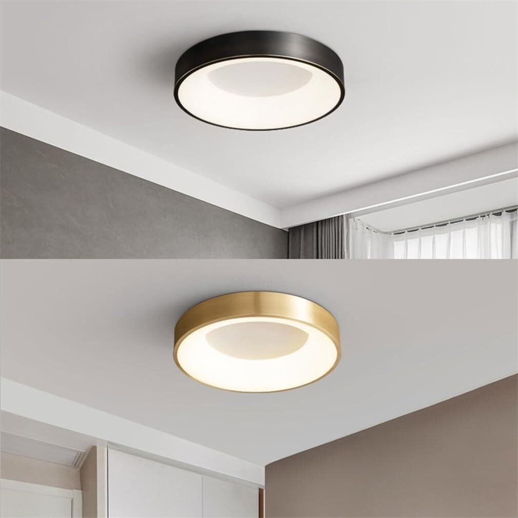 y♡  ZXKLXYY Fixtures Chandelier LED Flush Mount Ceiling Light