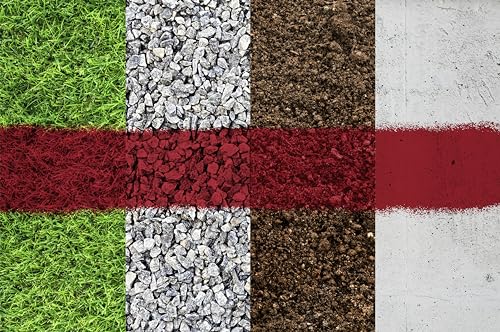 Image of Rust-Oleum 2564838 Professional Inverted Marking Spray Paint, 15 oz, Safety Red