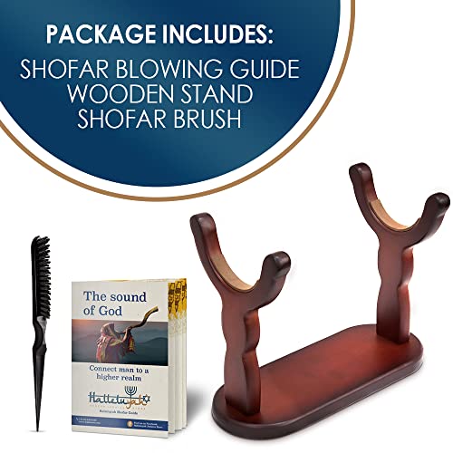 HalleluYAH Set of Shofar Stand, Shofar Cleaning Brush, Shofar from Israel Blowing Guide Fits All Horn Kosher Yemenite Shofars- Kudu, Oryx, Eland Full-Polished, Half-Polished- Made in Israel