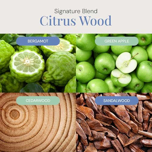 Aceite Aromático Citrus Wood 300 mL miniatura 3